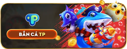 Giấy phép hoạt động và bảo mật thông tin